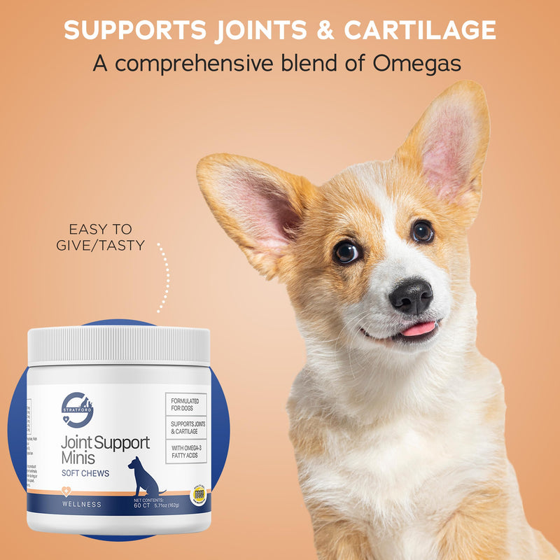 Stratford Pharmaceuticals Joint Support Minis Soft Chews for Small Dogs w/ Glucosamine Chondroitin MSM, Joint and Hip Pain Relief, 60 Count - PawsPlanet Australia