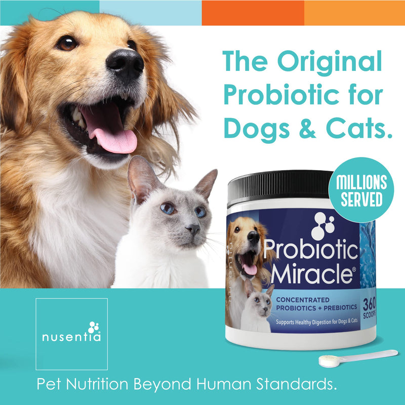 NUSENTIA Probiotic Miracle Dog Probiotics for Dogs (Up to 360 Servings) - PawsPlanet Australia
