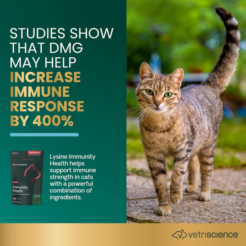 VetriScience Laboratories - Vetri Lysine Plus, Immune Support Supplement for Cats, 90 Bite Sized Chews