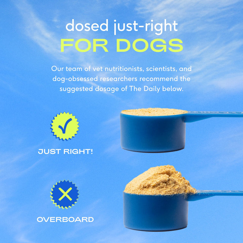 Native Pet The Daily Dog Supplement - 11 in 1 Dog Multivitamin - Tasty Scoop with Dog Vitamins and Supplements - Super Multi Vitamin for Dog - 12 Active Ingredients (7 oz.) 7 oz. - PawsPlanet Australia