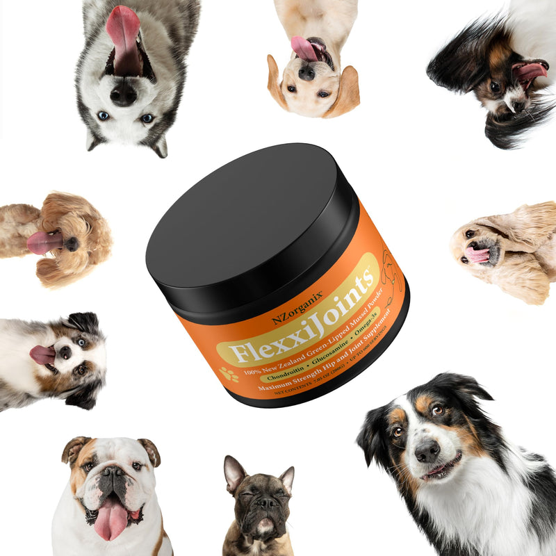 NZorganix FlexxiJoints 100% New Zealand Green-Lipped Mussel Powder, Hip & Joint Support Formula for Dogs & Cats, with Glucosamine, Chondroitin 200g (600 Servings) 2-Pack - PawsPlanet Australia