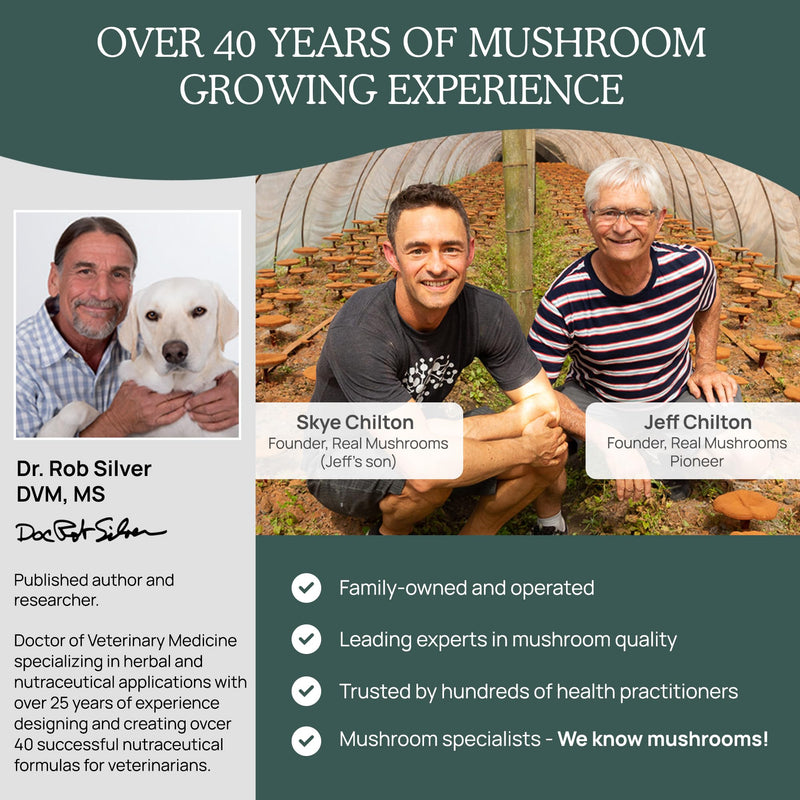 Mushroom Immune Support Pet Chews 60ct Treats for Dogs Booster Supplements Pets with Ashwagandha, Astragalus, Blueberry, Olive Leaf, Acerola Gut Health and Cats - PawsPlanet Australia