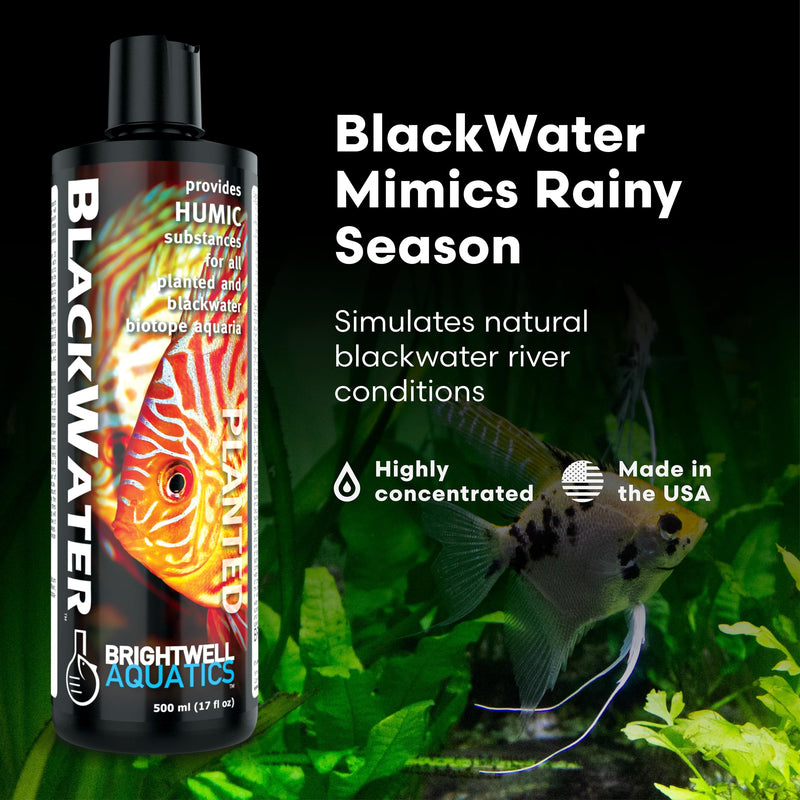 Brightwell Aquatics BlackWater Humic Fulvic Acid Supplement Simulates Natural Blackwater Conditions Supports Nutrient Uptake in Freshwater Planted Aquariums, 250 ml 250-ml