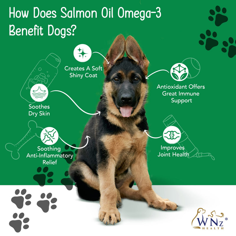 Omega 3 Skin and Coat Chews for Dogs, Dog Salmon Oil Supplement for Joint Pain Relief, Immune Support, Skin and Coat Supplements for Dogs, Chewable Dog Treats for Itchy Skin Relief, 55 Chews, 8 Oz - PawsPlanet Australia