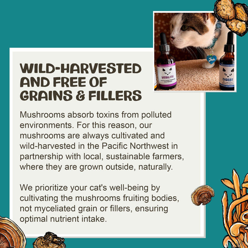 MycoCat Vitality - 20-in-1 Mushroom Extract & Adaptogen Tincture - Liver Support for Cats with Shiitake Mushrooms, Turkey Tail, Chaga, Maitake & Reishi for Felines with Debilitating Conditions