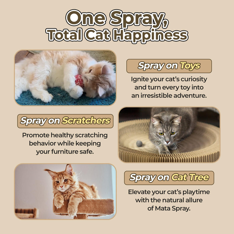 JAYU PET Active MATA Spray – 100% Natural Silvervine Spray for Cats, Liquid Catnip Alternative, Calming Mist for Indoor Kittens, Boosts Play & Engagement, Reduces Stress (1 fl oz) 1fl oz