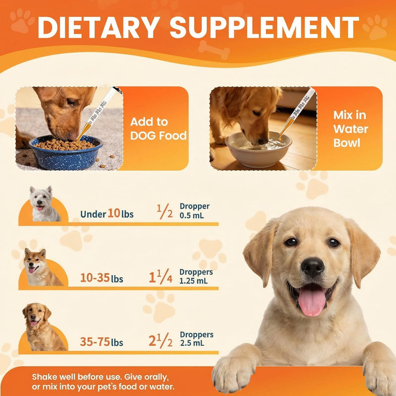 Natural Yeast Infection Treatment for Dogs, Support Healthy Itch Relief, Ear Paw Discomfort Care, Itch Relief for Dog, Inflammation Relief for Dogs, 60ml