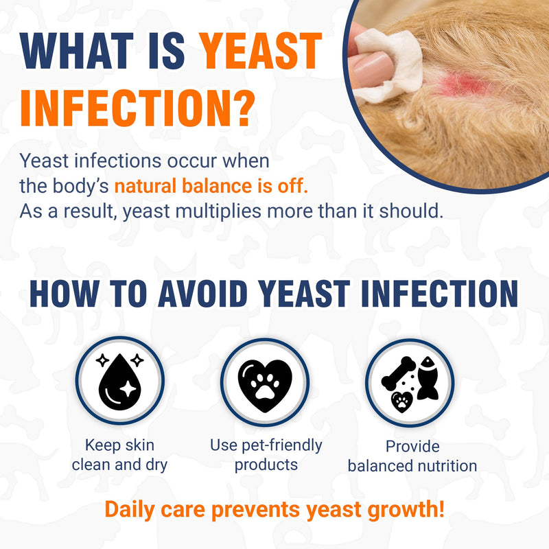 Yeast Infection Treatment for Dogs Soothes Itchy Ears and Irritated Skin – Helps with Allergies, Redness & Maintains Gut Work – Liquid Yeast Infection Drops for Dogs with Natural Beef Flavor – 2 Oz 2 Fl Oz