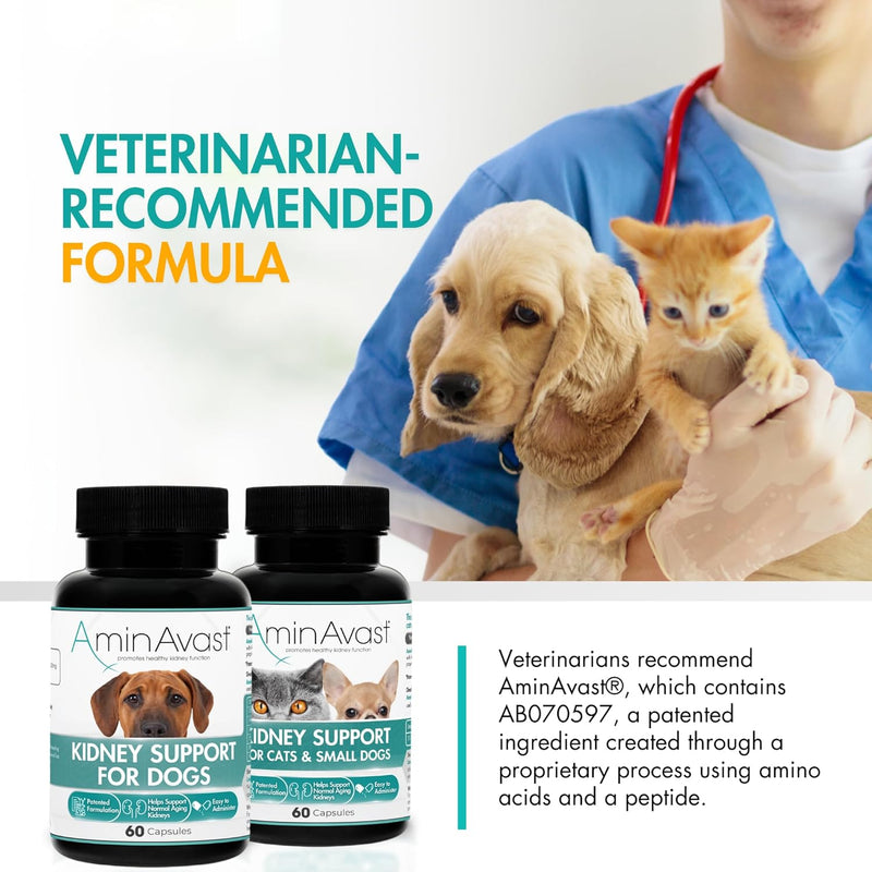 AminAvast Kidney Support Supplement for Cats and Dogs, 300mg - Promotes Natural Kidney Function - Aids in Health and Vitality of Aging Kidneys - Easily Administered - 60 Sprinkle Capsules - NewNest Australia