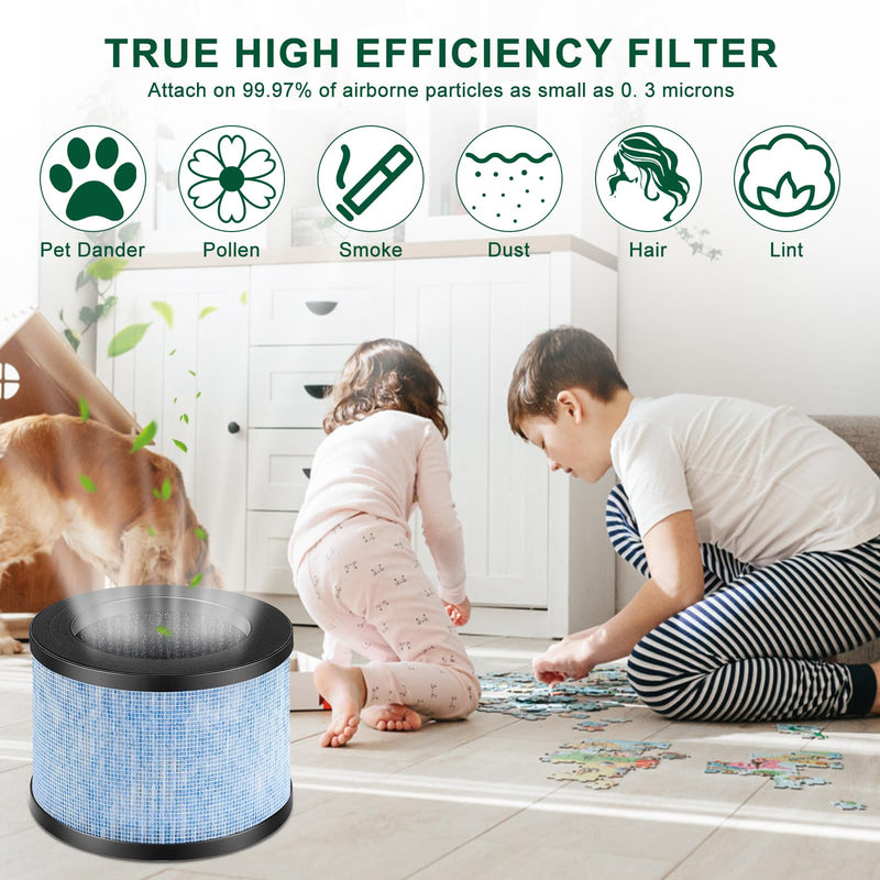 Katerelis 4 Pack MK01 MK06 TZ-K1 Replacement Filter Compatible with AROEVE MK01 MK06 MG01JH, ToLife TZ-K1 and Kloudi DH-JH01, POMORON MJ001H, Elechomes EPI081/EP1081, and Intelabe EPI080/EP1080