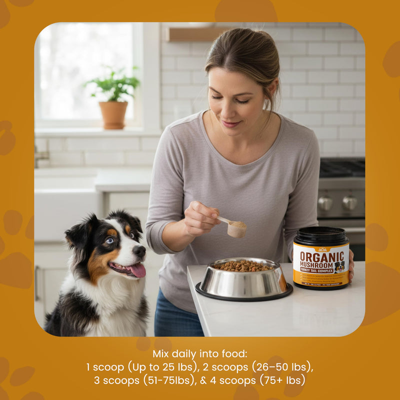 Turkey Tail Mushroom for Dogs Supplement Powder (90g) Organic Mushroom Complex with Lion's Mane for Dogs - Immune Support, Brain Health and Digestion - Third Party Tested, Non-GMO and Made in USA