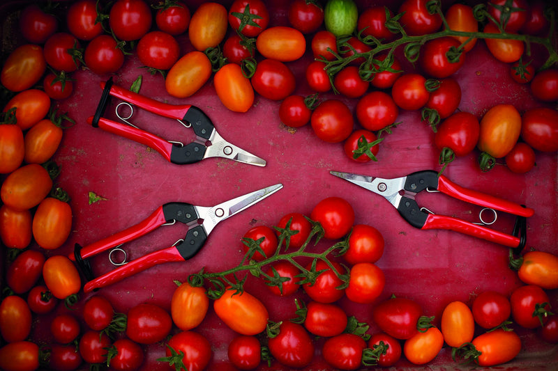 FELCO FELCO322 Model 322 Snips, Red single