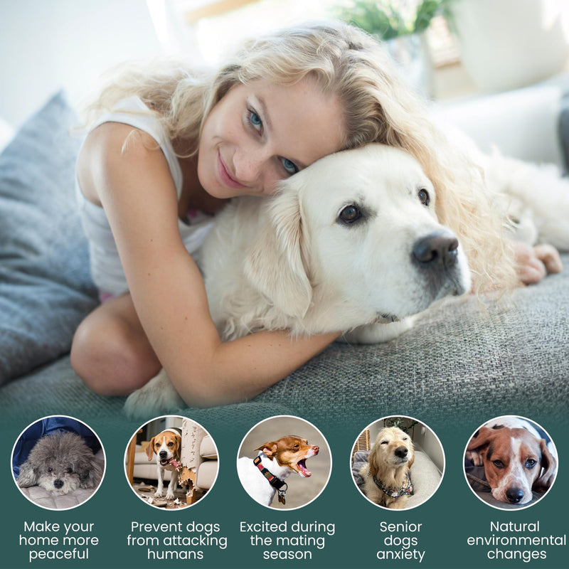 Smart 4-in-1 Dog Pheromones Calming Diffuser Kit with Four Timed Timer, 60 Days Effectively Anti Anxiety Relief Stress Dog Pheromones Calming Refills (2 Diffuser + 2 Refills) Beige