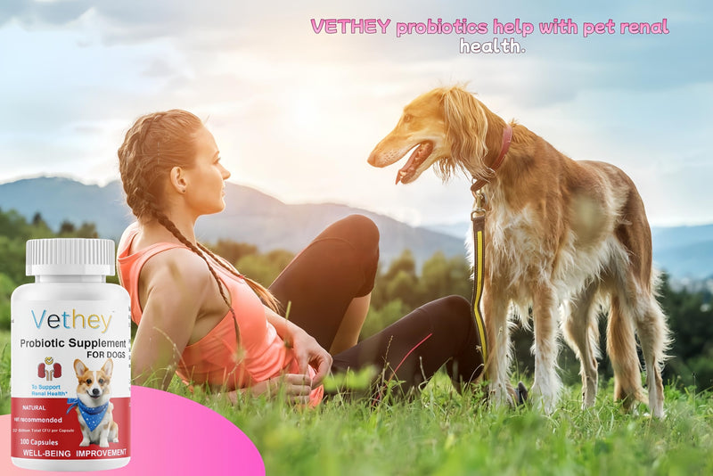 Probiotic Supplement for Dogs,Kidney Health Supplement for Dogs & Cats - NO Refrigeration Required - Help Support Kidney Function & Manage Renal Toxins - 32 Billion CFU, 100 Capsules