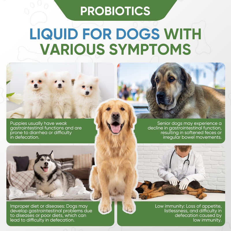 Constipation Relief Probiotics for Dogs – Natural Stool Softener & Digestive Aid, Gut Health Supplement, Gentle Elimination & Upset Stomach Soother, 2 Fl Oz