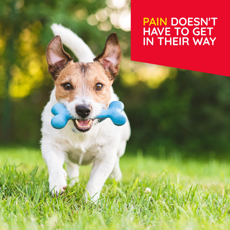 T-Relief Pet Pain Relief Drops Arnica +12 Powerful Natural Medicines Help Reduce Muscle Joint & Hip Pain Soreness Stiffness Injuries in Dogs & Cats - Fast-Acting Soother - 1.69 oz T-Relief Pet Pain drops - 1.69 oz - NewNest Australia