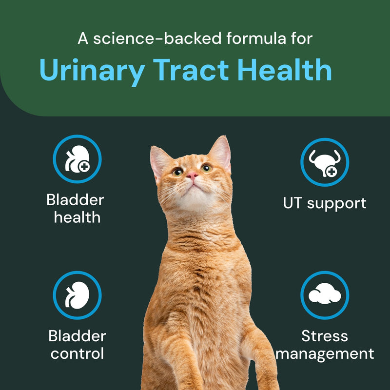 VetriScience UT Strength Feline Pro - Urinary Tract Support for Cats - Feline Urinary & Bladder Health Support Formula - Aids Healthy pH Balance & Urinary Wellness - 90 Chews - PawsPlanet Australia