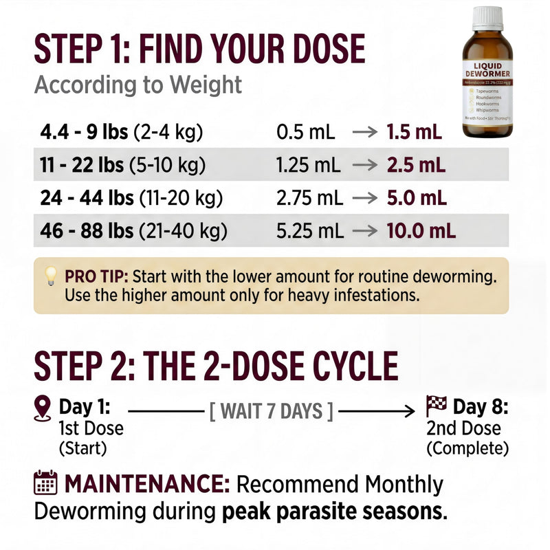 Liquid Dewormer for Cats and Dogs - Fenbendazole 22.2% - Targets Tapeworms, Roundworms, Hookworms & Whipworms - Broad Spectrum for Cat & Dog - 3.4 fl oz (100 mL) with Syringe