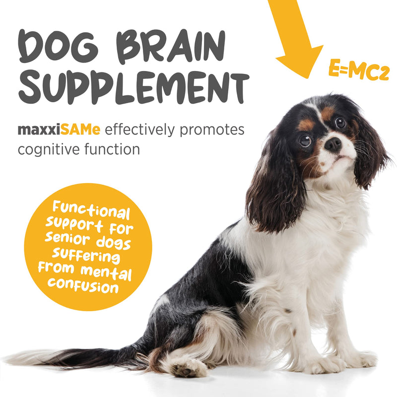 maxxiSAMe Sam-e Supplement for Dogs - Dog Liver and Cognitive Brain Support - Given with Food Powder 5.3 oz - PawsPlanet Australia