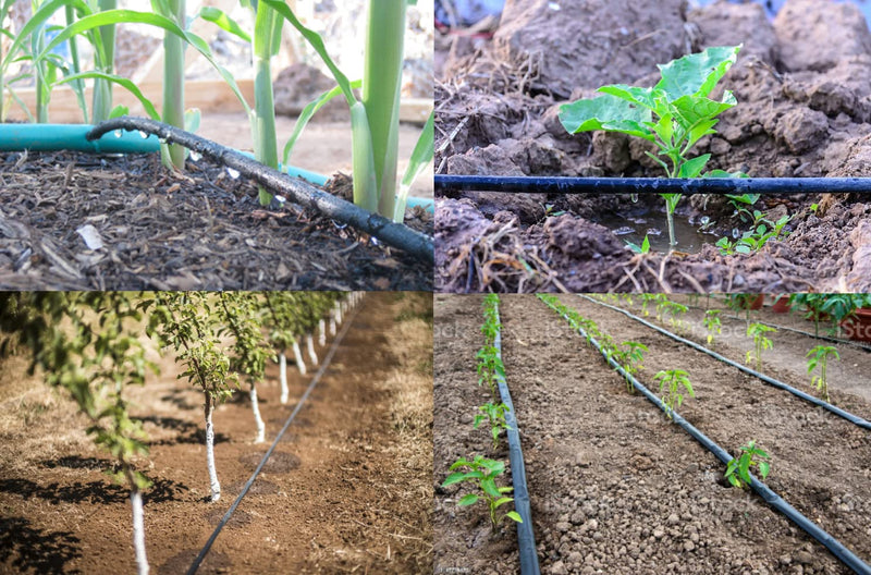 12 Pack Drip Irrigation Fittings 1/2” Drip Line, Rain Bird XFF-Coup 17mm Drip Line Connectors, 1/2 Inch Drip Irrigation Tubing, Drip Irrigation Connectors, Drip Hose Connectors Includes LED Light