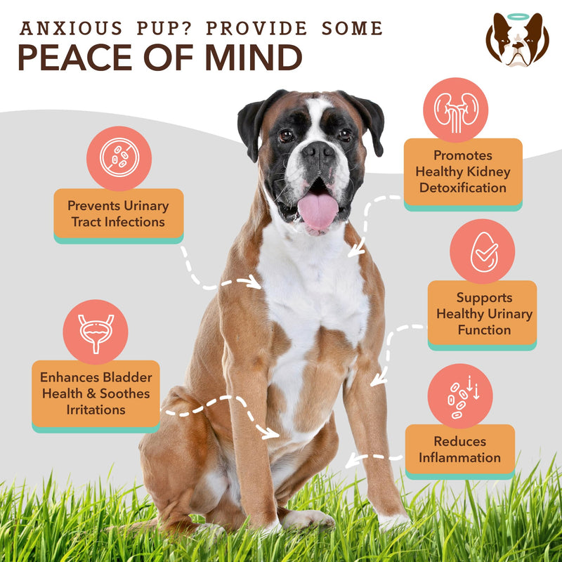 Natural Dog Company Urinary and Multivitamin Bundle - Supports Urinary Tract, Immune System, Joint Health, and Energy - Essential Chews for Dogs' Overall Well-Being and Vitality