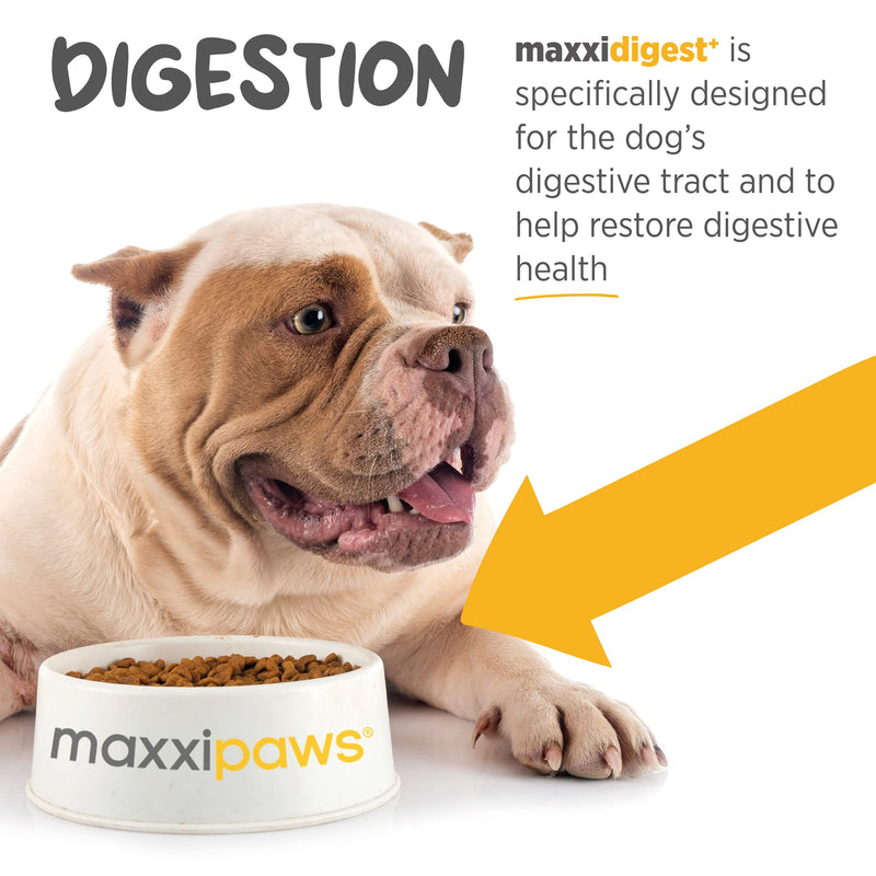 maxxidigest+ Probiotic & Prebiotic Powder Supplement - Digestive & Immune Support for Dogs, 13.2oz 13.2 Ounce (Pack of 1) - PawsPlanet Australia