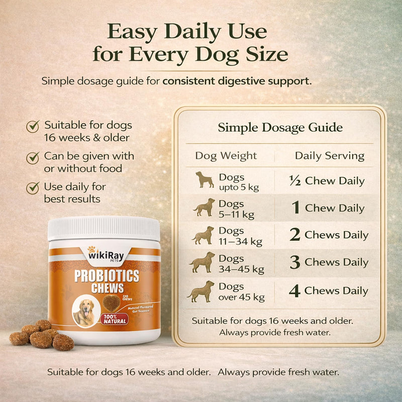 wikiRay Probiotics for Dogs – Soft Chews for Digestive Health & Immunity | 120 Chews | 3 Billion CFU, Pumpkin, Enzymes, Vitamins & Prebiotics | Made with Natural Ingredients