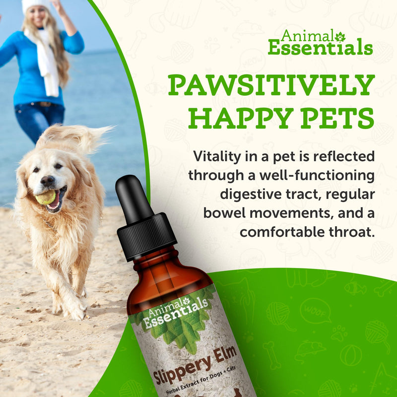 Animal Essentials Slippery Elm - Herbal Extract for Dogs and Cats, Promotes Healthy Digestion, Bowel Function, Certified Organic Herbs, All Natural, Respiratory Health, Liquid Formula - 1 Fl Oz 1 fl oz (30ml)
