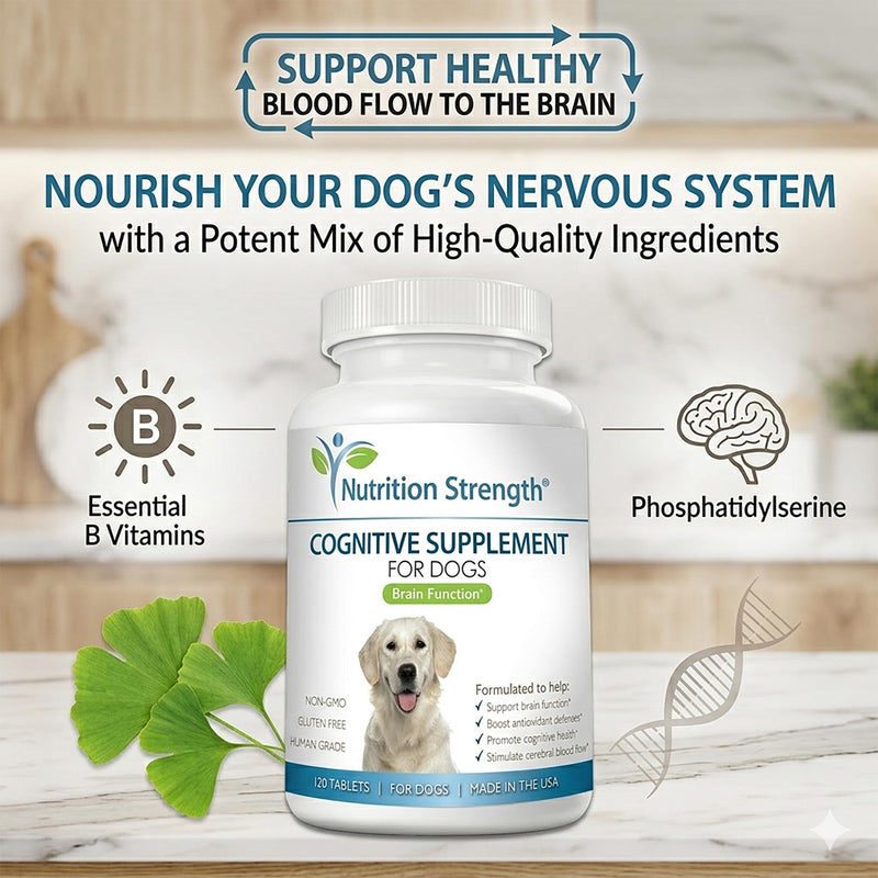 Cognitive Support for Dogs, Promotes Dog Brain Health, Mental Support Supplement for Cognitive Difficulties, 120 Chewable Tablets