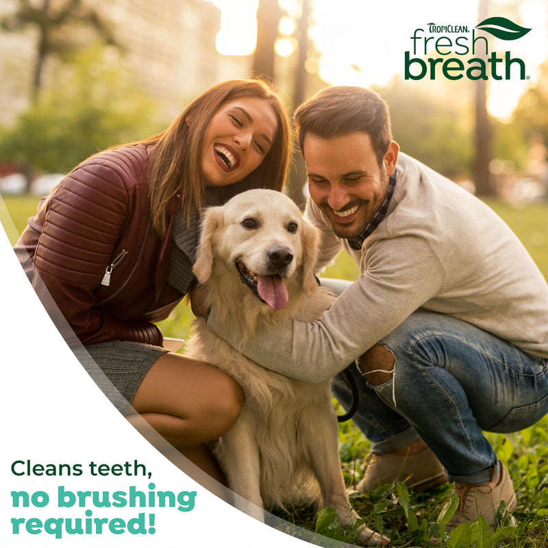 TropiClean Fresh Breath Dog Toothpaste for Teeth Cleaning, Breath Freshener, Easy to Use Plaque & Tartar Remover Gel, No Toothbrush Needed, 4oz. Original 4 Fl Oz (Pack of 1) - PawsPlanet Australia