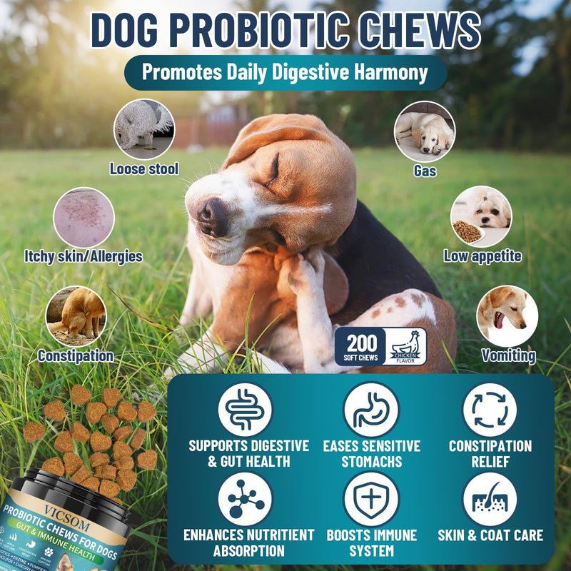 Dog Allergy Relief Chews + Dog Probiotics Chews – Itch & Digestive Support Bundle, 700 Chews Total, Natural Skin & Coat Support with Colostrum, Quercetin & Probiotics for Gut Health, Daily Care for Al