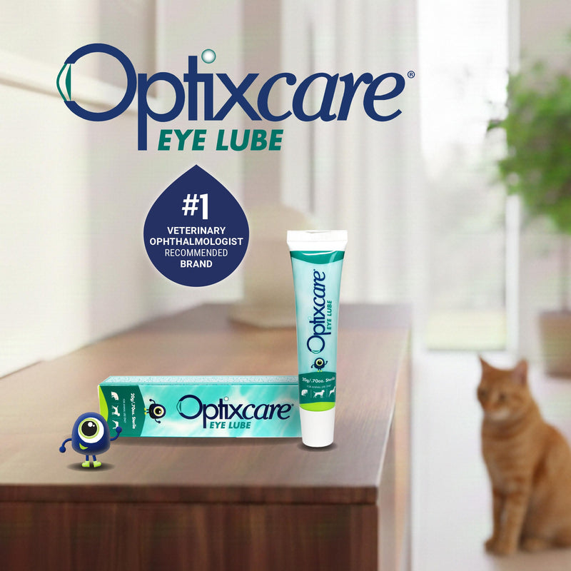 Optixcare Eye Lube 20g Lubricating Gel for Dry, Itchy & Irritated Eyes – Long‑Lasting Moisture Support After Eye Procedures