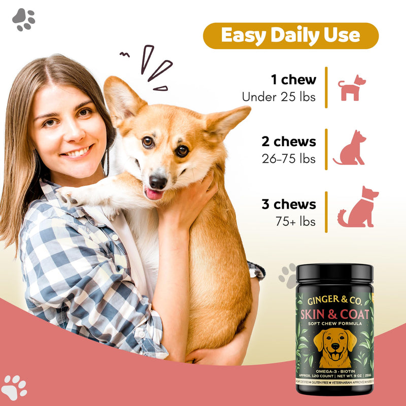 GINGER & CO. Skin & Coat Support Chews for Dogs – Omega 3 & Salmon Oil 120CT
