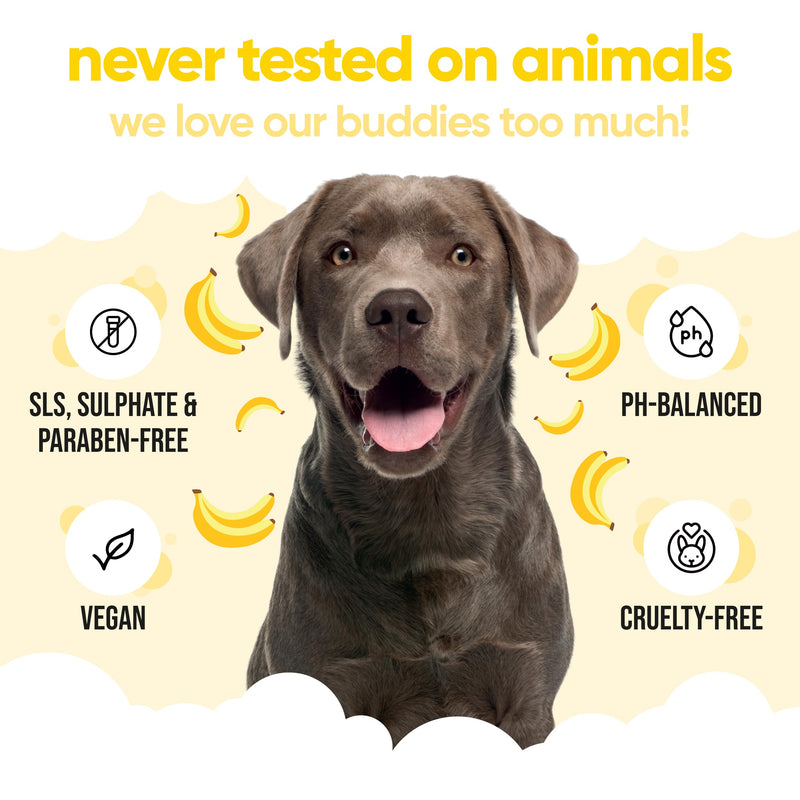 Banana Dog Shampoo by Buddycare | Deep Cleansing Shampoo for Dogs | Banana Scented | with Aloe Vera and Pro Vitamin B5 (33.8oz) 33.8oz - PawsPlanet Australia
