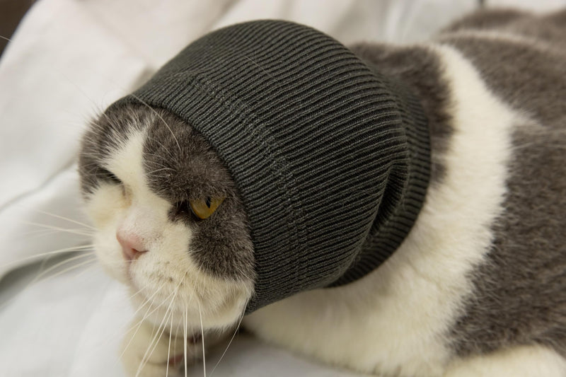 Cat Snood Ear Muffs,Calm Head Covers Blow Drying-Anxiety & Stress Relief - Cat Ear Wrap Injury Grey S Small