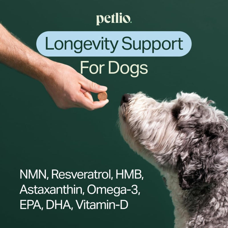 Longevity+ Dog Health Supplement - Dog Vitamins and Supplements for Joint, Muscle, Immune, and Cognitive Health - Vet-Formulated and Made in the USA - for Small Dogs 24 lbs or Less - 30 Day Supply Small Dog | (24lbs or less)