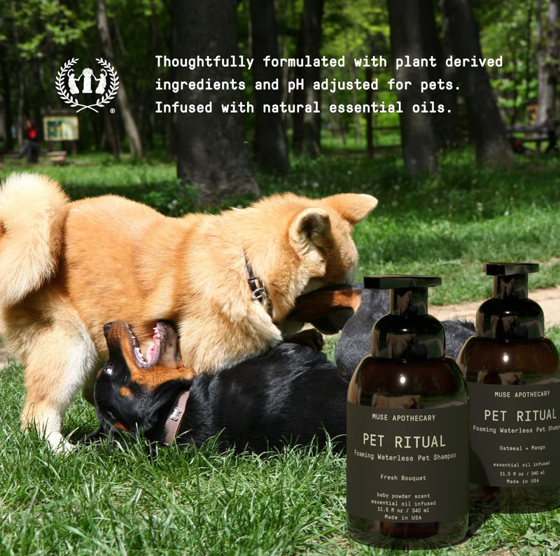 Muse Apothecary Pet Ritual Foaming Waterless Shampoo for Dogs, Waterless Dog Shampoo Foam, No Rinse Dog Shampoo, Waterless Dog Shampoo for Large Dogs - Essential Oils Infused, 11.5oz Oatmeal + Mango 5.75 Fl Oz (Pack of 2) - PawsPlanet Australia