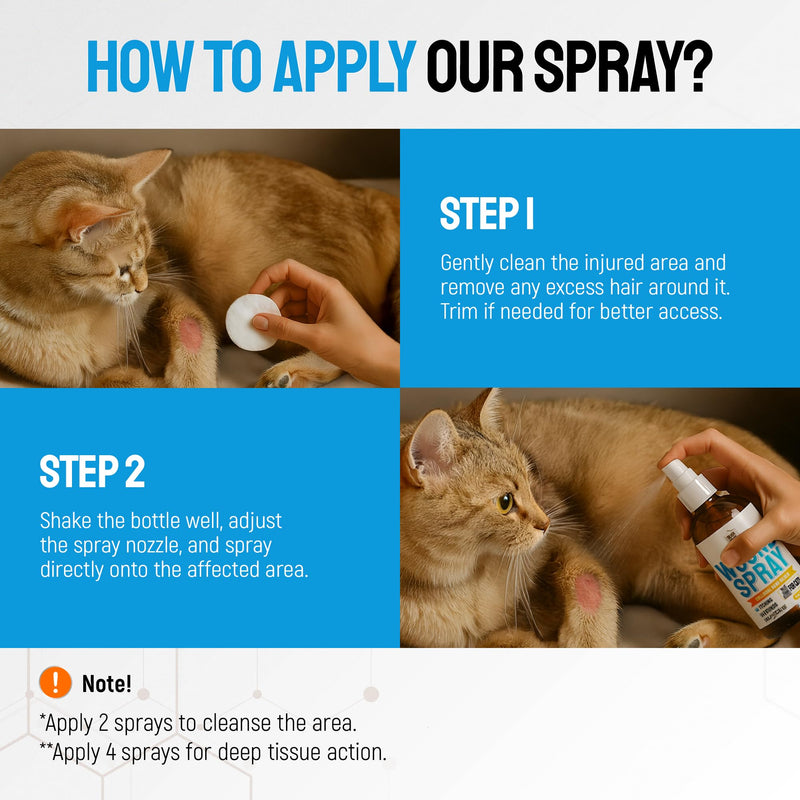 SILVER GRADE Cat Wound Care Spray with Silver – Wounds, Rashes, Hot Spots, Itch, Scratching, Irritation, Bites & Burns – Use a Cat Cone to Prevent Licking – Safe Formula – 4 Oz