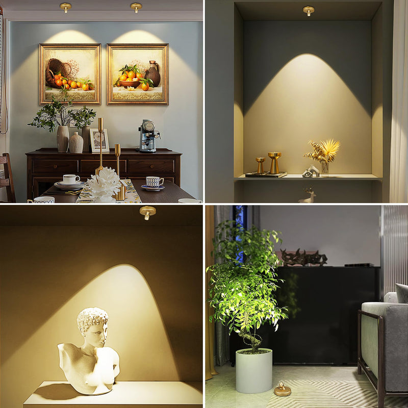 2Pack Battery Spotlight with Remote Gold, Wireless Led Picture Lights Painting Light for Wall Art,Uplight Puck Lights for Plants Indoor Art Display Light, Ceiling Spot Light Accent Light