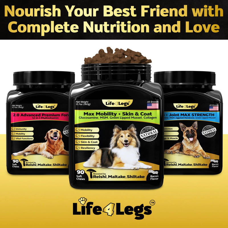 Hip and Joint Chews for Dogs + Skin and Coat Supplement - Dog Joint Pain Relief Treats - Glucosamine, Chondroitin, MSM, Hemp Oil, Turmeric, Omega 3 for Dogs, Mobility Dog Health Supplies Hip & Joint + Skin & Coat Duck - 90 Soft Chews