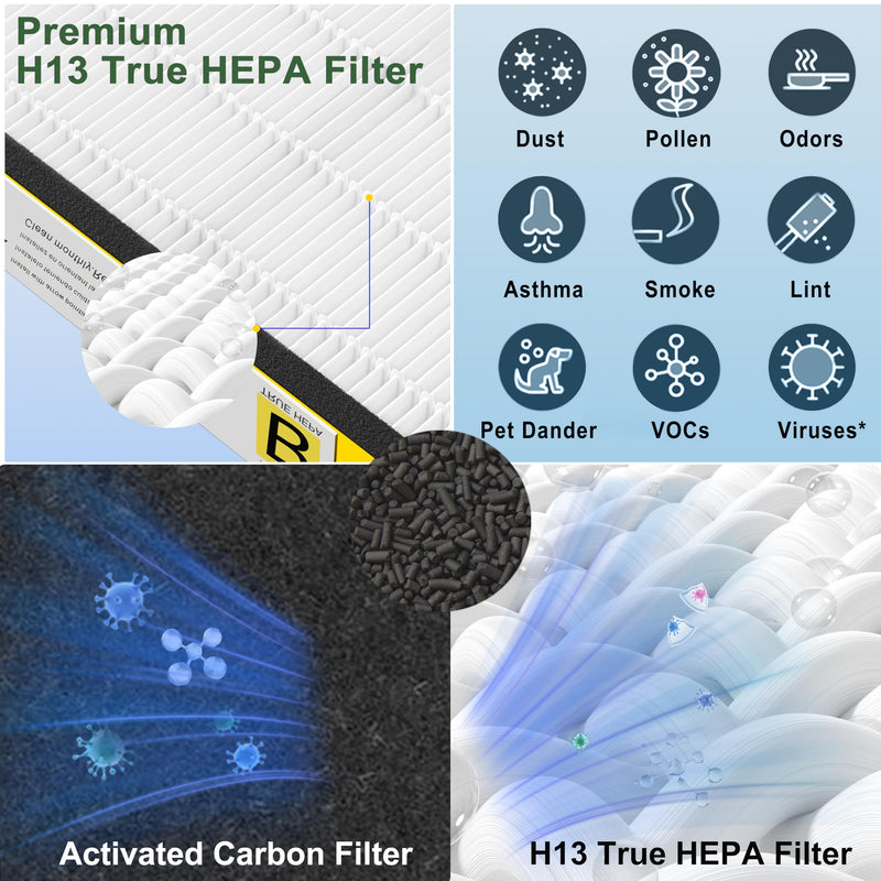 2+8 Pack FLT4825 HEPA Filter B Replacement for Germ Guardian Air Purifier 10