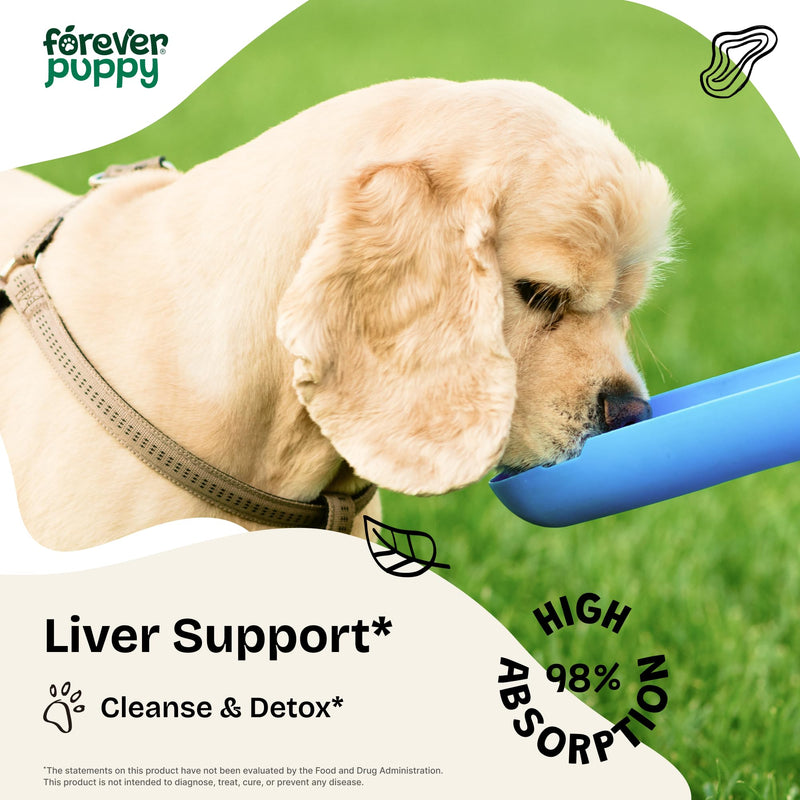 Milk Thistle for Dogs - Liver Supplements for Dogs w/Milk Thistle Liquid Extract - Herbal Liver Support Drops for Large Medium Small Breed - Silymarin Vitamins and Supplements - 4 oz 4 fl oz - PawsPlanet Australia