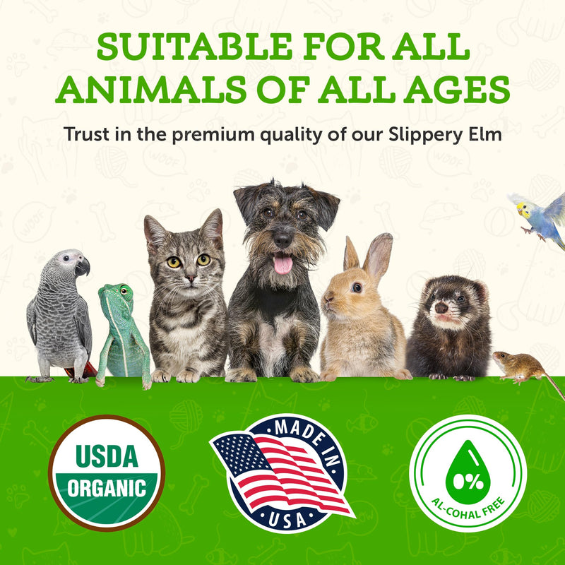 Animal Essentials Slippery Elm - Herbal Extract for Dogs and Cats, Promotes Healthy Digestion, Bowel Function, Certified Organic Herbs, All Natural, Respiratory Health, Liquid Formula - 1 Fl Oz 1 fl oz (30ml)