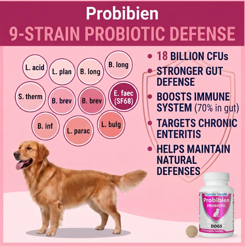 Probiotic for Dogs, 18 Billion CFUs +1 Gram of Fiber - 9 Native Gut Strains, Probiotic and Prebiotic Veterinary Supplement, Chew Tablets for Diarrhea, Gut Health and Immune Health.