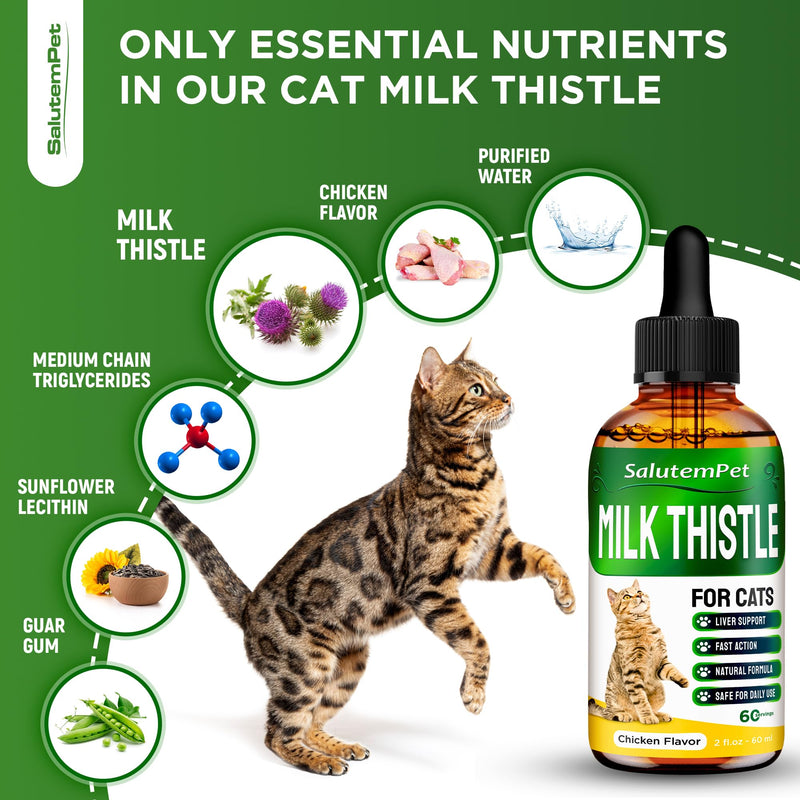 Milk Thistle for Cats | Cat UTI | Liver Support for Cats | Cat Milk Thistle | Feline UTI | Cat Cough | Milk Thistle Cats | Cat Urinary Tract | 2 Oz