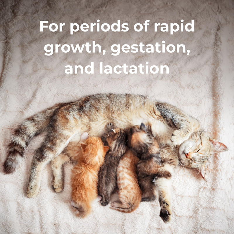 PetAg® Calcium Phosphorus Tablets for Cats & Dogs, 50ct - PawsPlanet Australia