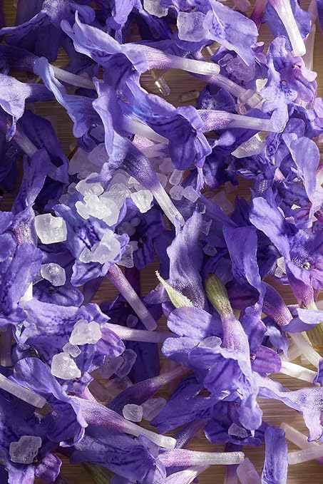 SABON Relaxing Head Scrub, Lavender, 10.6 oz (300 g) - NewNest Australia