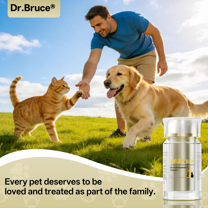 Dr.Bruce Dogs and Cats Hip & Joint Supplement, Chondroitin Sulfate & Calcium Carbonate，Joint Supplement for Cats for Large Breed & Senior Dogs，Relieve Arthritis in Dogs and Cats，140 Chewable Tablets | arthritis relief for dogs,joint supplements for dog...