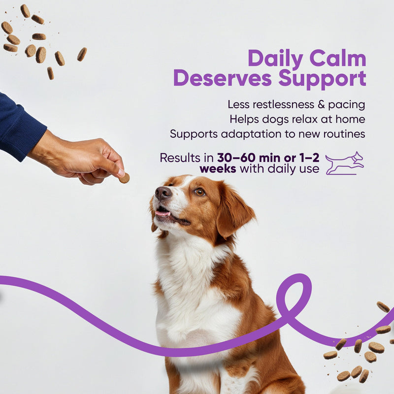 SNIFF 'N' CHOMP Dog Calming Chews, Peanut Butter Flavor, Natural Anxiety Relief with L-Theanine Chamomile Valerian Melatonin, Stress Support for All Breeds, Calming Dog Treats | 90 Soft Chews