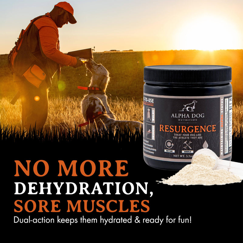 Resurgence Dog Electrolytes by Alpha Dog Nutrition | Promote Dog Hydration, Increase Stamina, and Boost Recovery | Electrolyte Water Additive or Food Topper to Prevent Dehydration with Beef Flavoring - PawsPlanet Australia